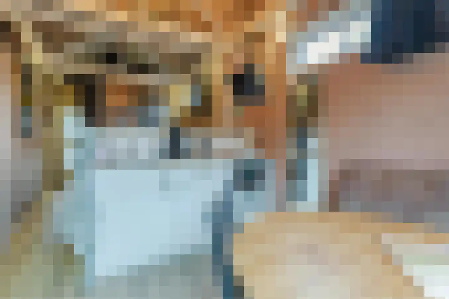 Bakkummerstraat 51 Castricum thumbnail 56