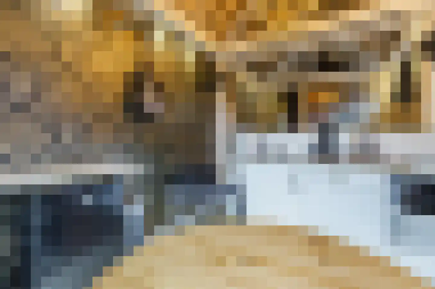 Bakkummerstraat 51 Castricum thumbnail 57