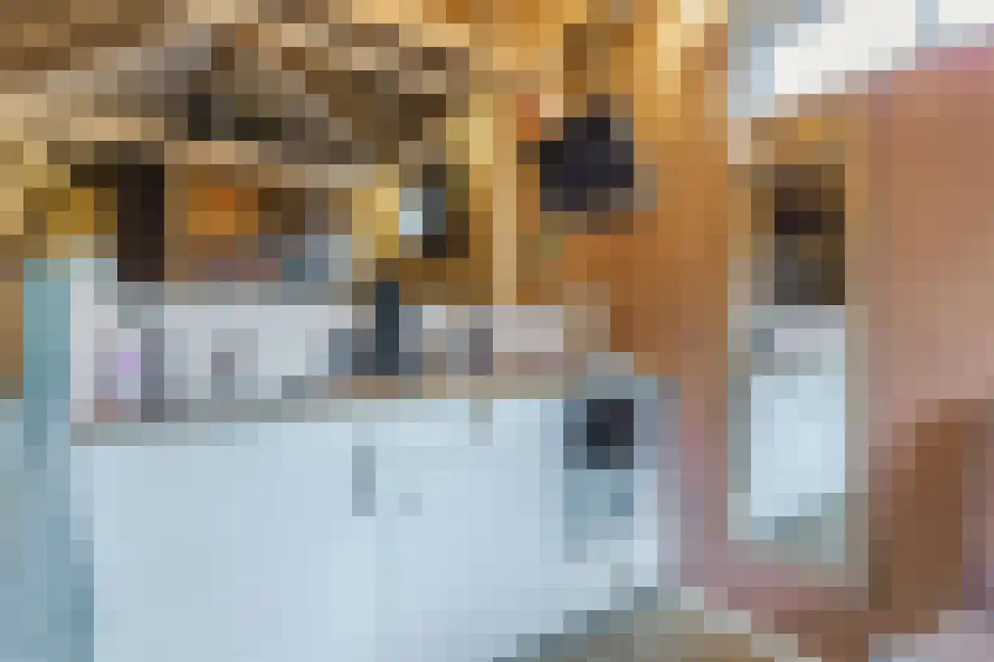 Bakkummerstraat 51 Castricum thumbnail 58