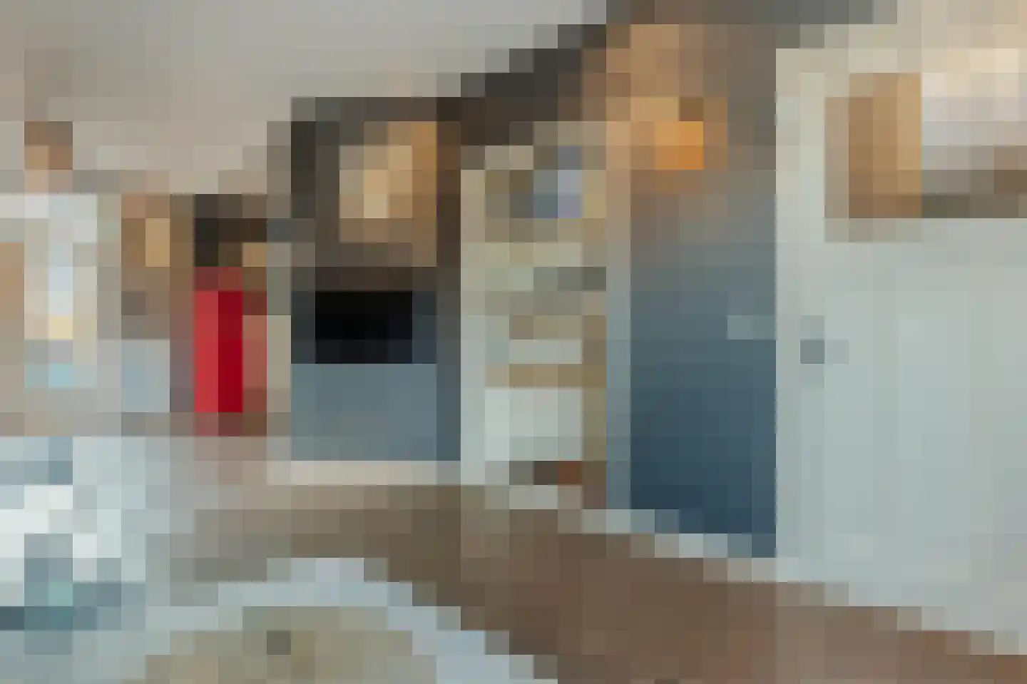 Bakkummerstraat 51 Castricum thumbnail 9