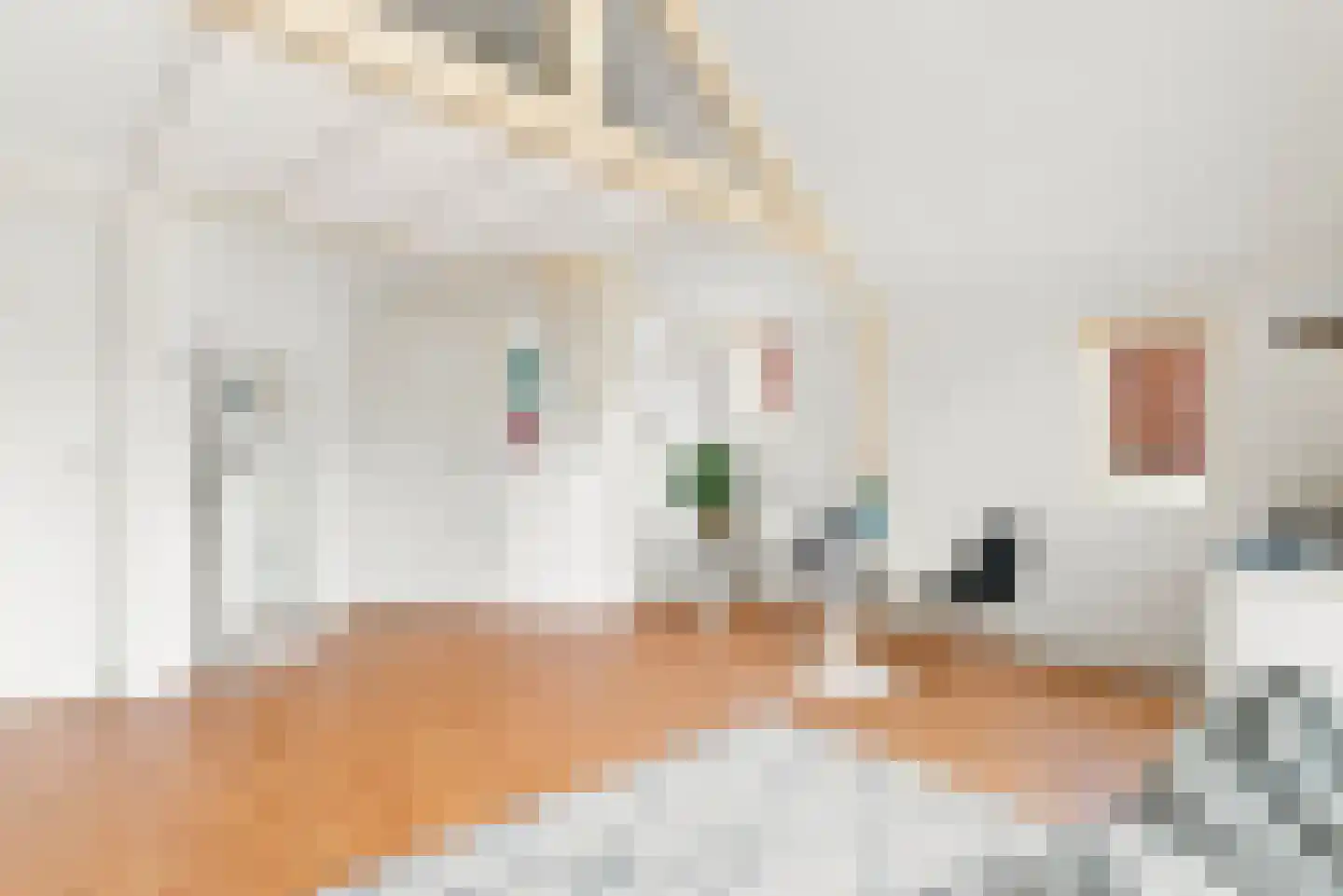 Bakkummerstraat 58 b Castricum thumbnail 5