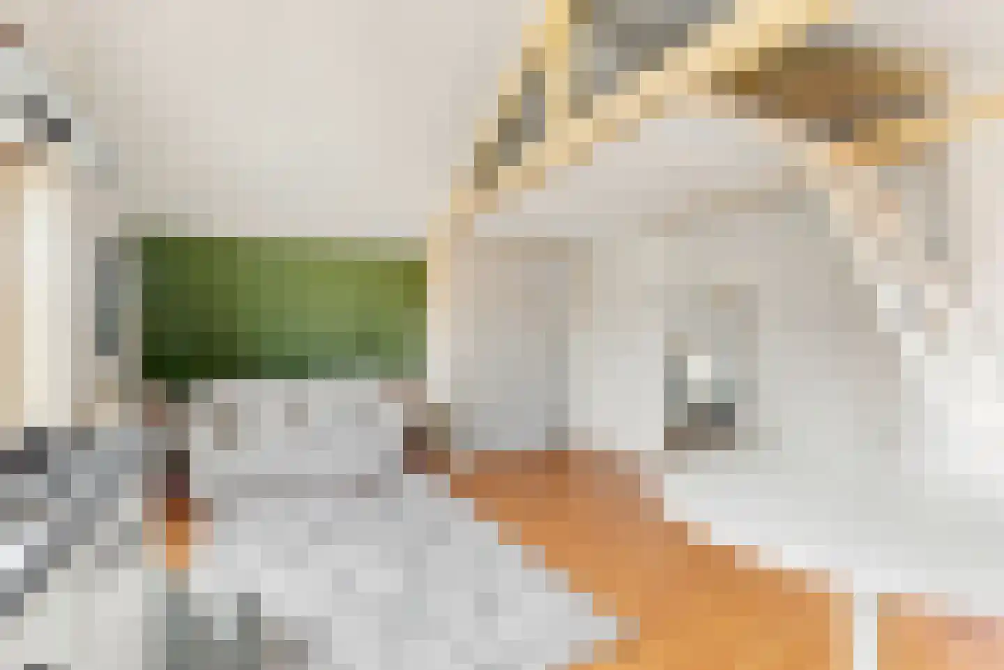 Bakkummerstraat 58 b Castricum thumbnail 8