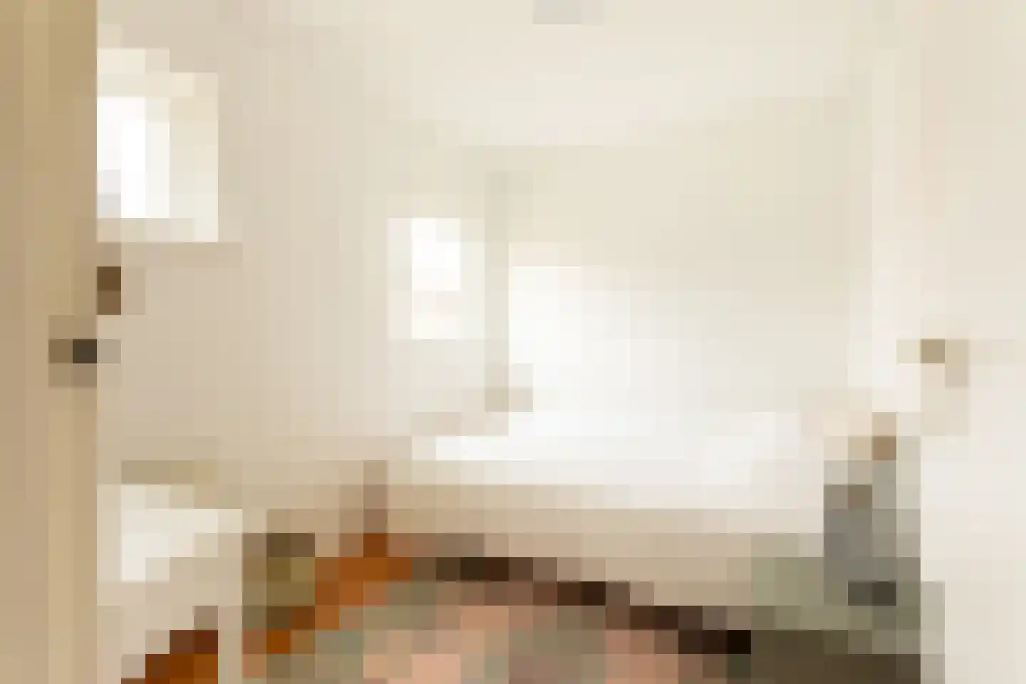 Bakkummerstraat 58 c Castricum thumbnail 22