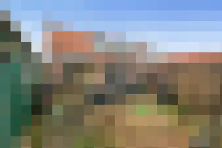 Bakkummerstraat 63 Castricum thumbnail 17
