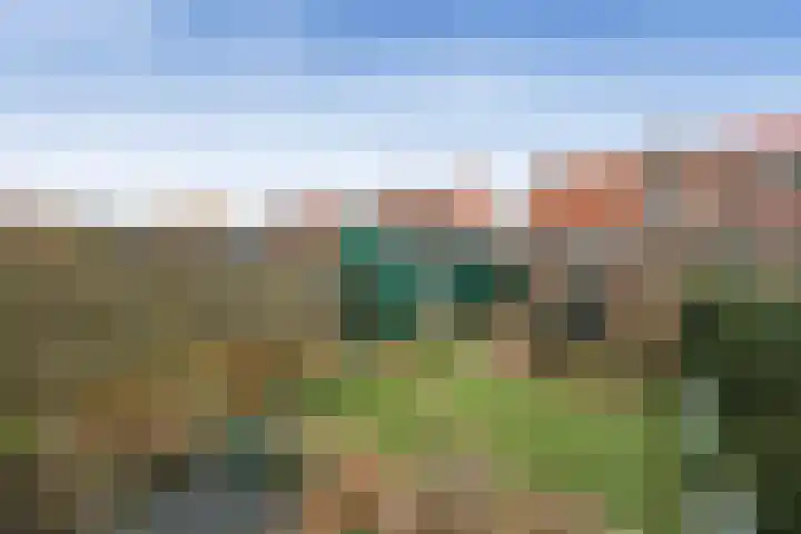 Bakkummerstraat 63 Castricum thumbnail 18