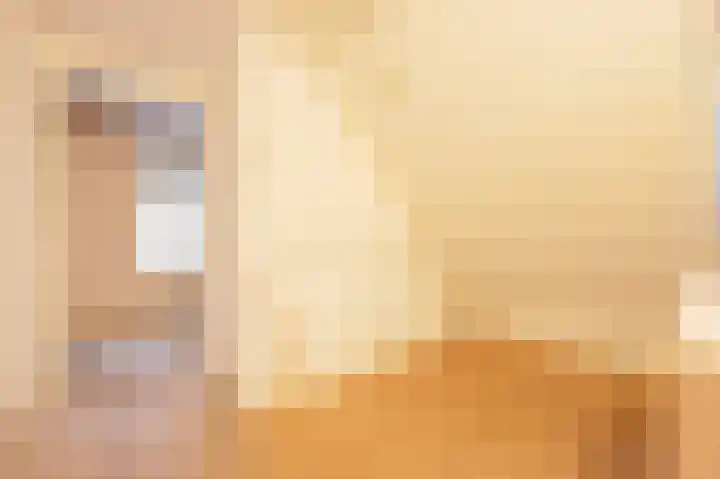 Bakkummerstraat 63 Castricum thumbnail 8