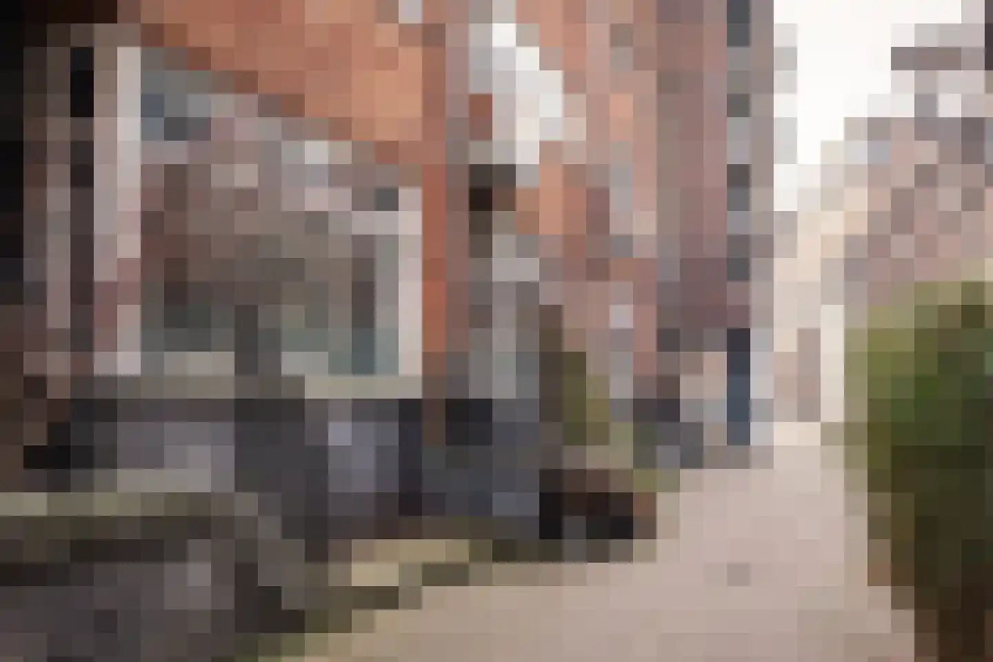 Bakkumstraat 3 dans Haarlem
