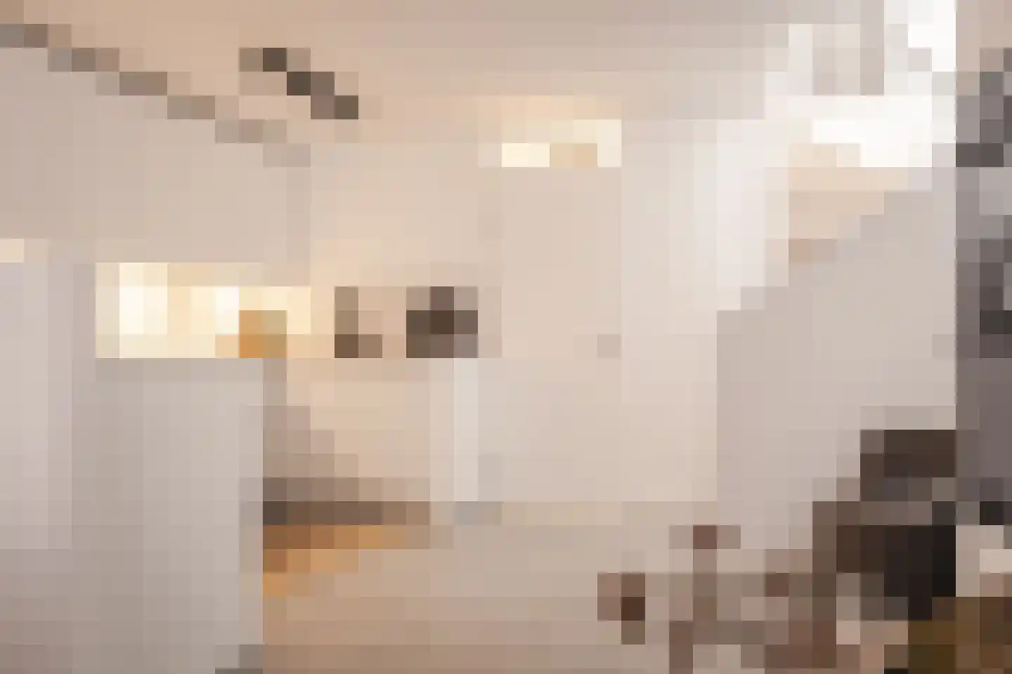 Bakkumstraat 3 Haarlem thumbnail 14