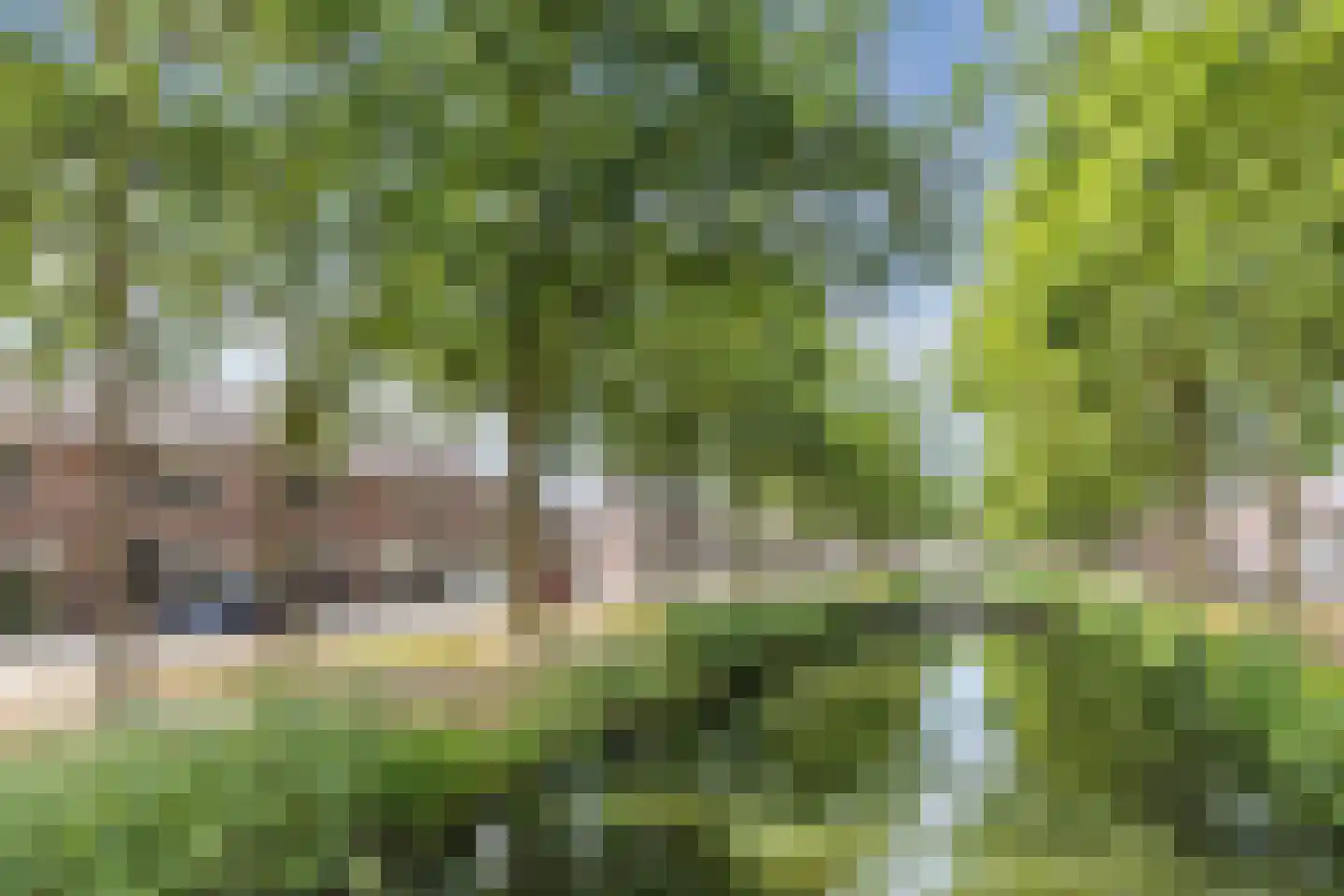 Bakkumstraat 37 Tilburg thumbnail 32