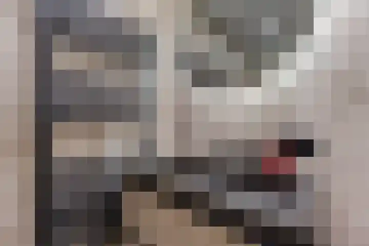 Bakkumstraat 9 Amsterdam thumbnail 26