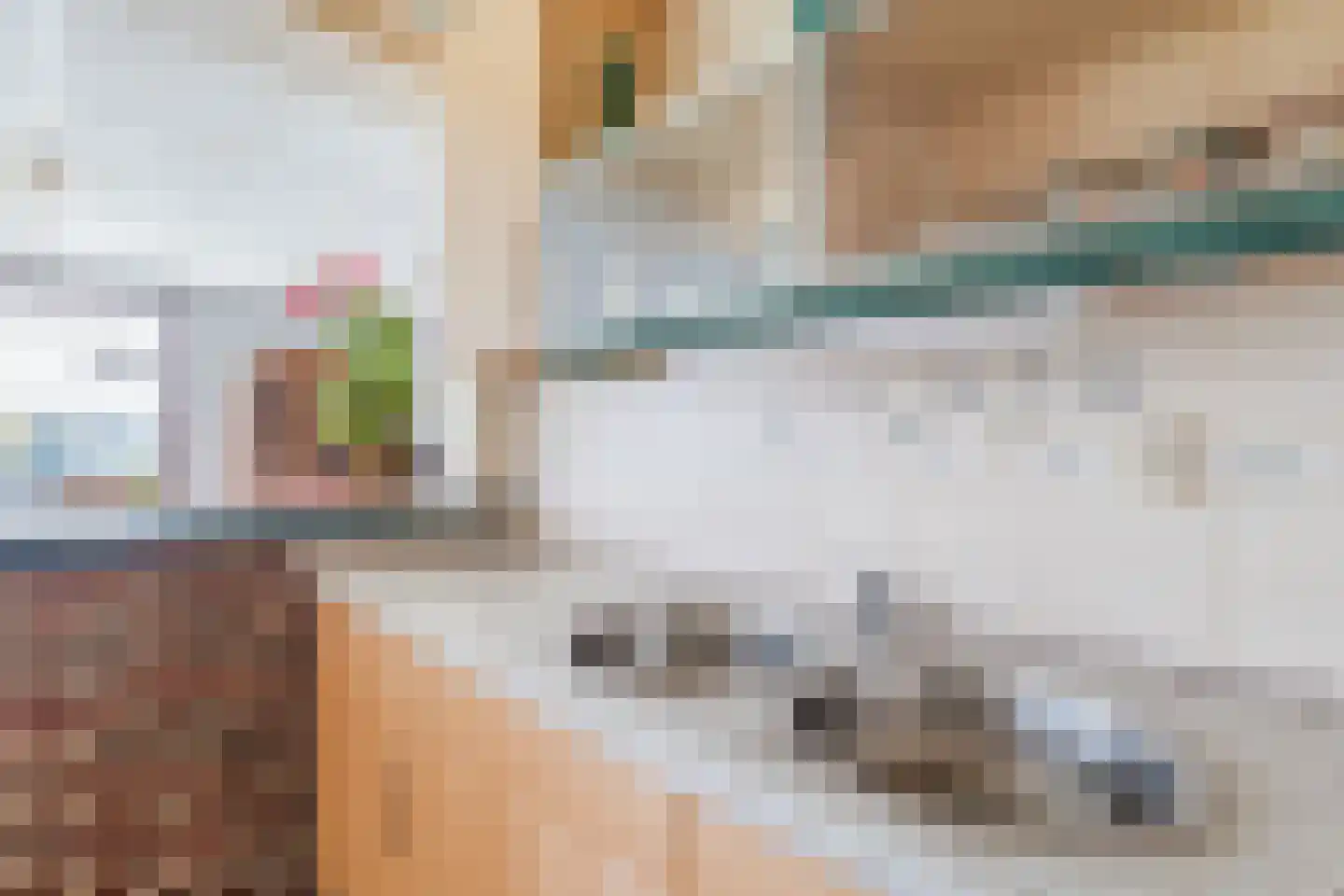 Bakovensweg 1 Bourtange thumbnail 12