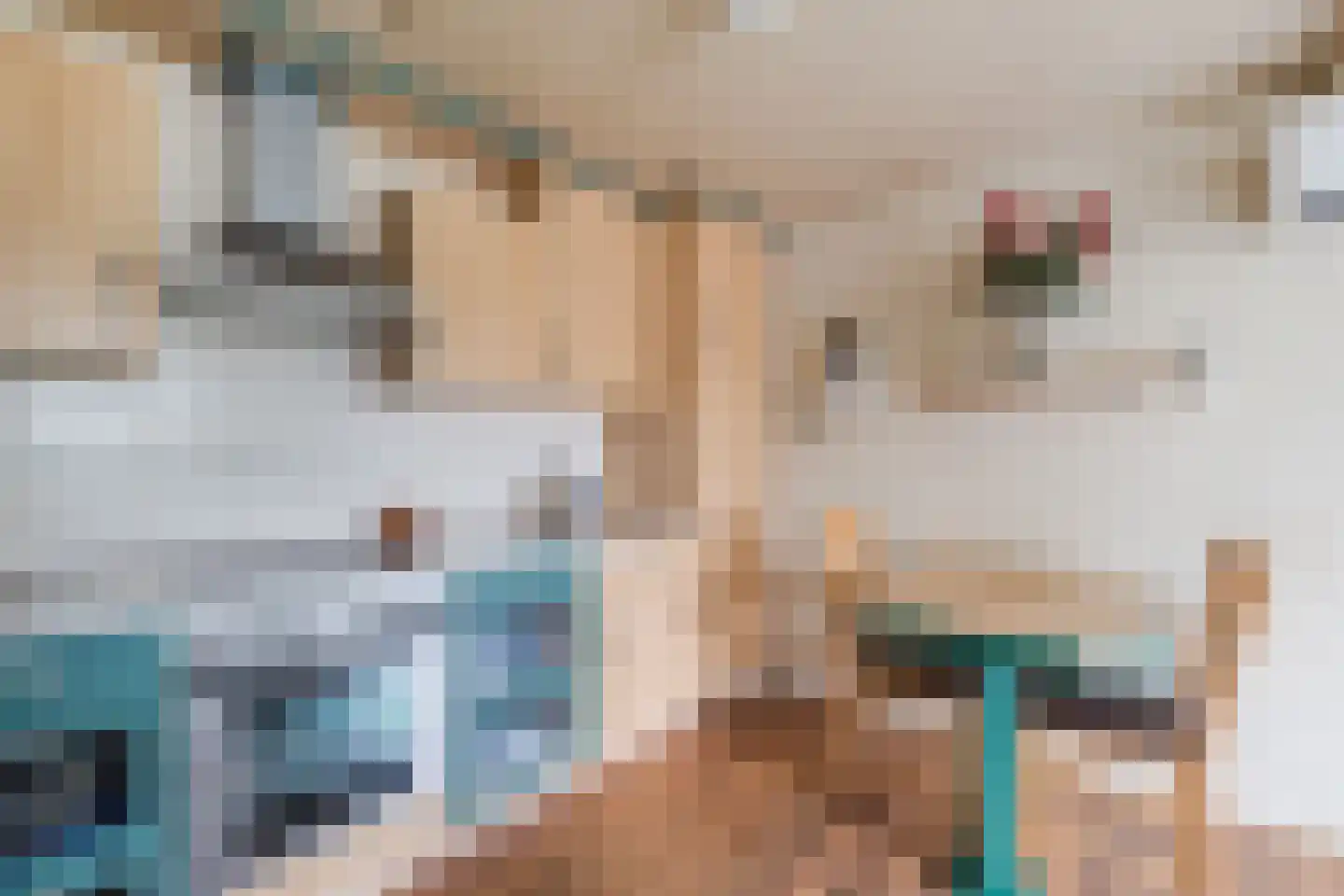 Bakovensweg 1 Bourtange thumbnail 13