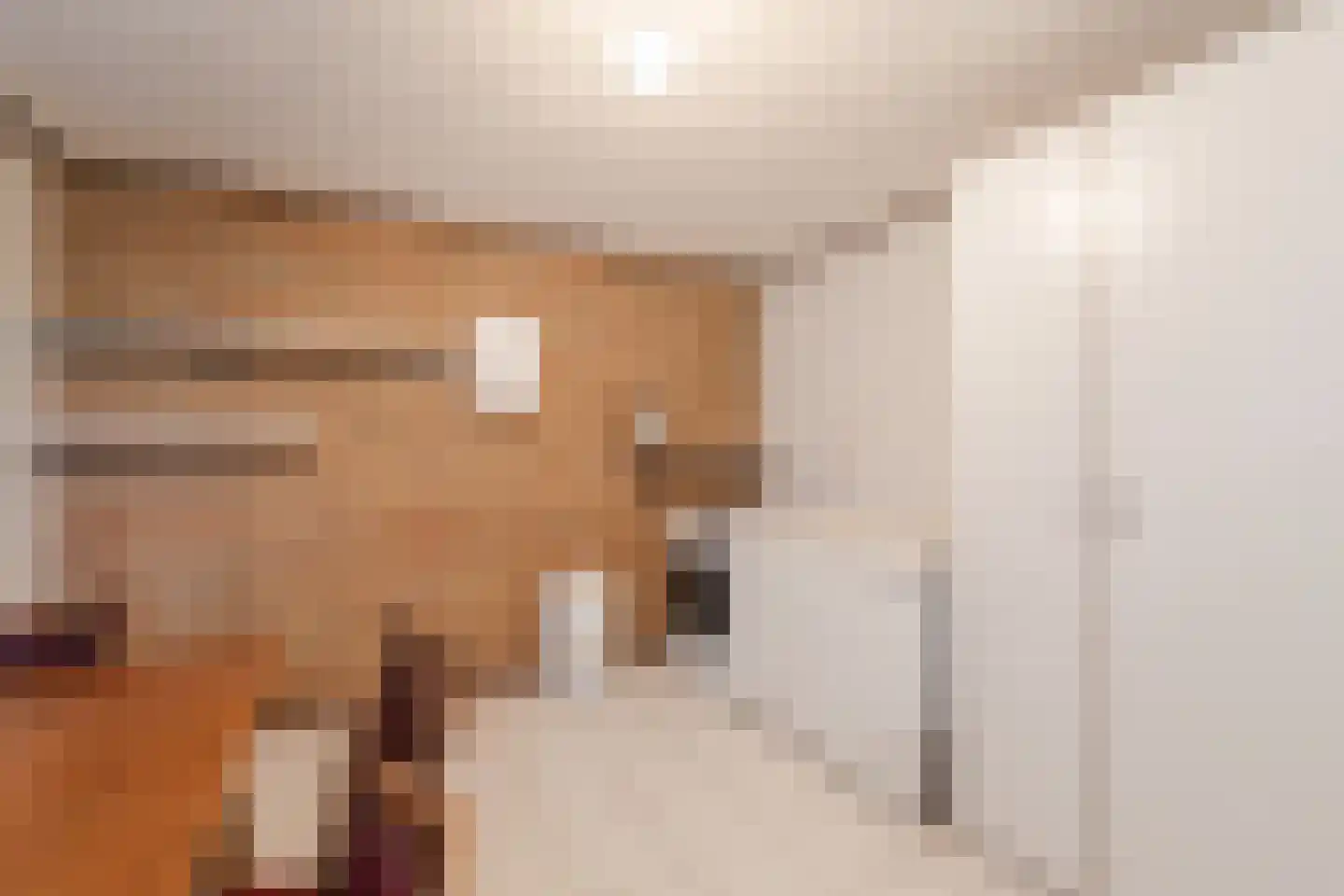Bakovensweg 1 Bourtange thumbnail 15
