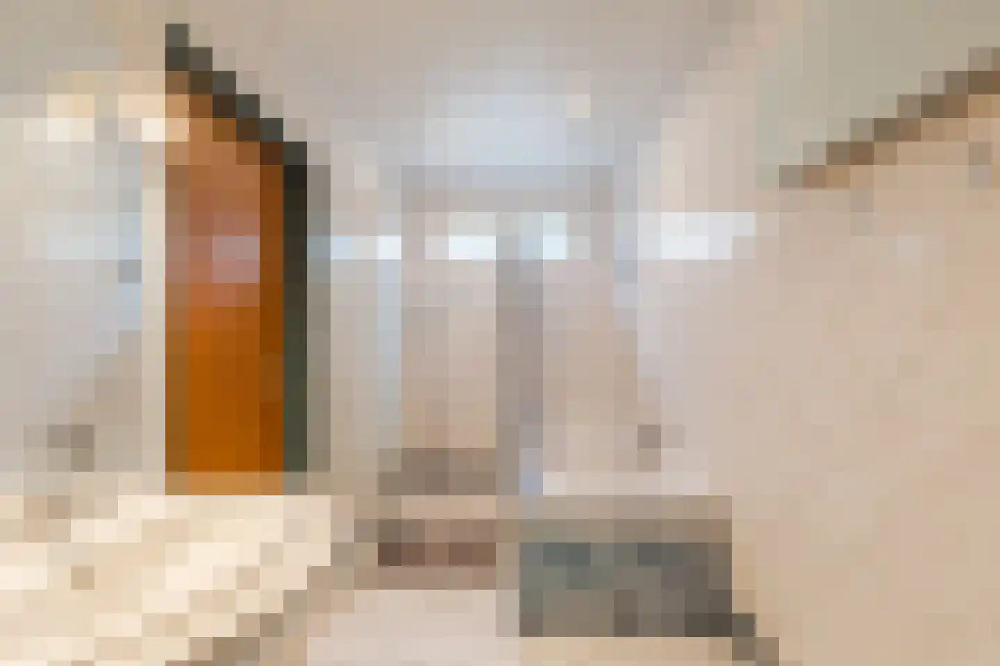 Bakovensweg 1 Bourtange thumbnail 28