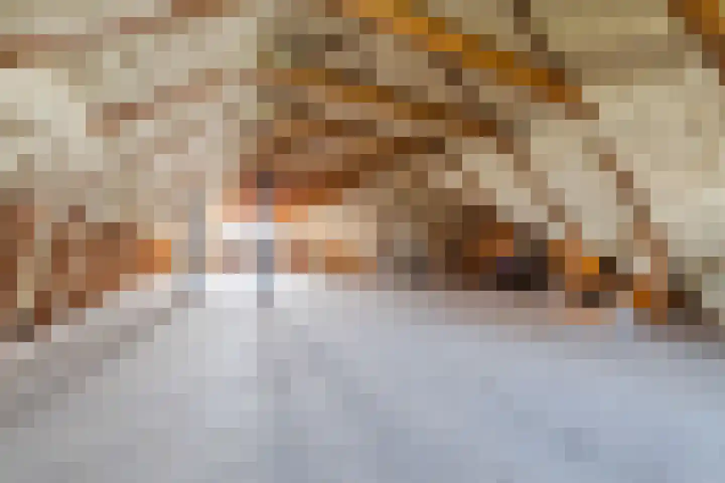 Bakovensweg 1 Bourtange thumbnail 32