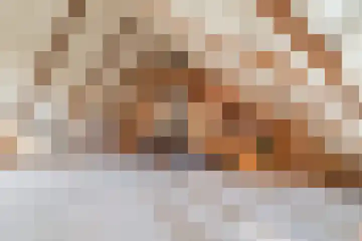 Bakovensweg 1 Bourtange thumbnail 33