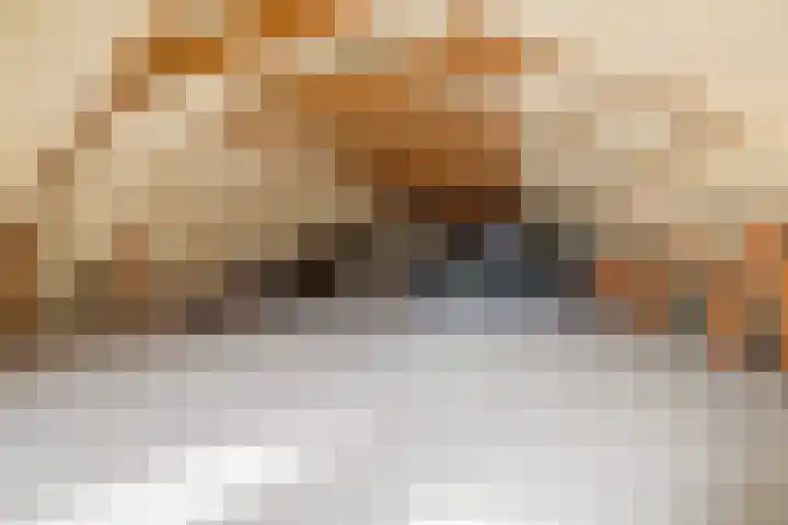 Bakovensweg 1 Bourtange thumbnail 34