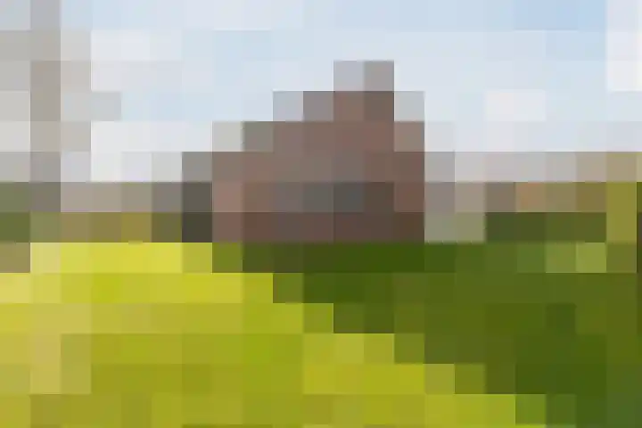 Bakovensweg 1 Bourtange thumbnail 37