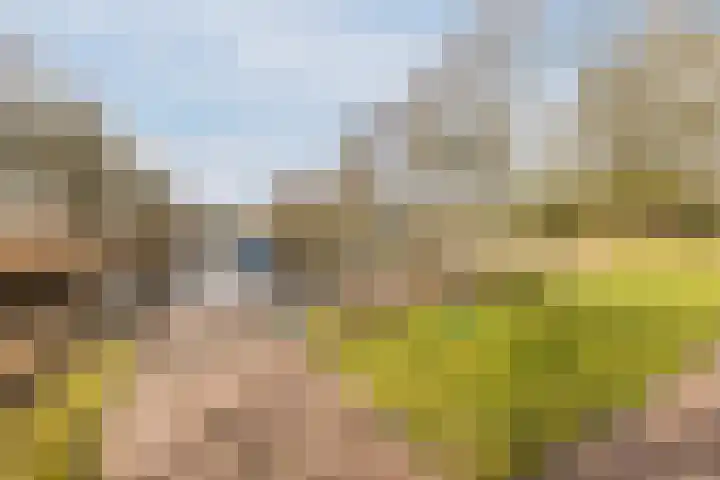 Bakovensweg 1 Bourtange thumbnail 41