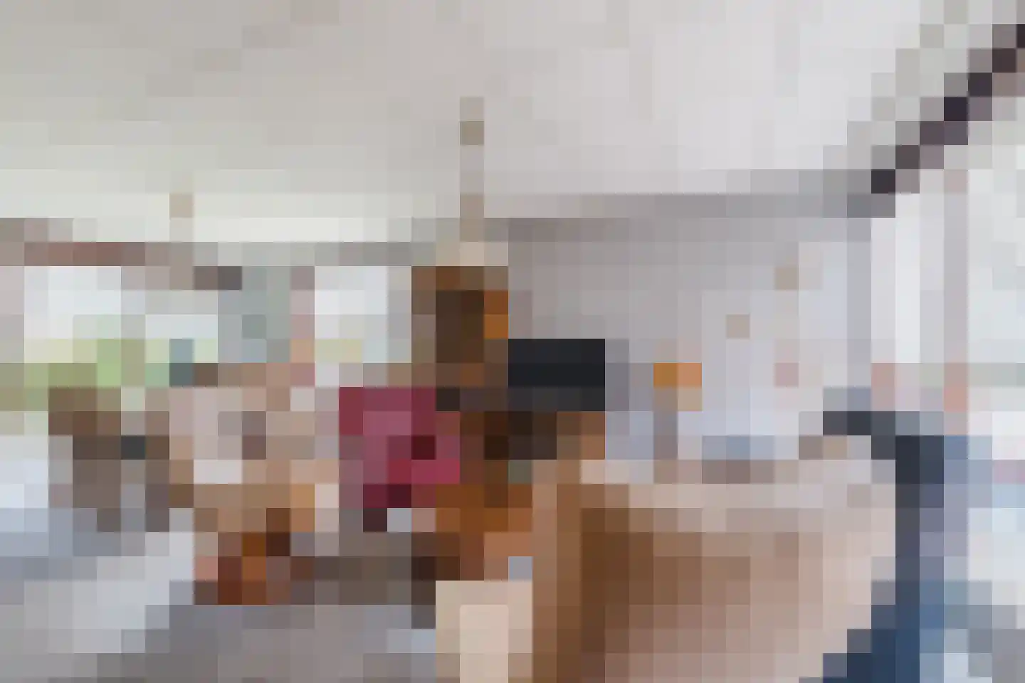 Bakovensweg 1 Bourtange thumbnail 6