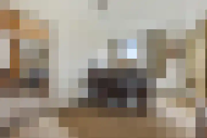 Bakovensweg 26 Bourtange thumbnail 10