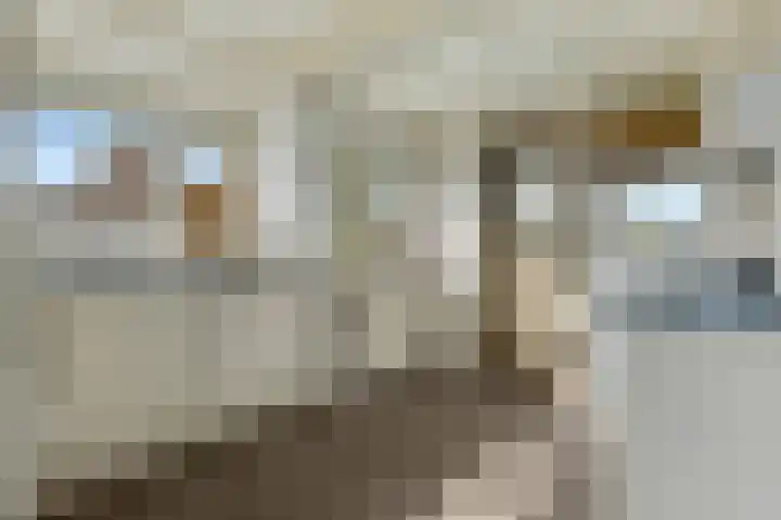 Bakovensweg 26 Bourtange thumbnail 14