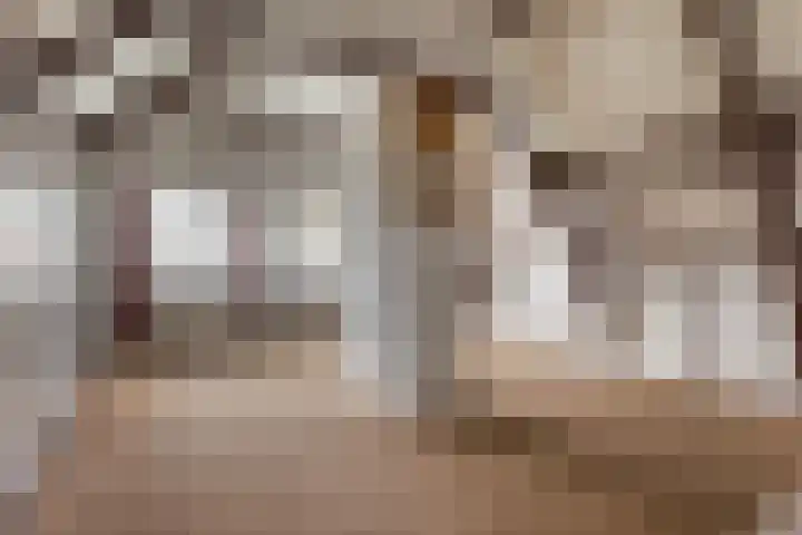 Bakovensweg 26 Bourtange thumbnail 26