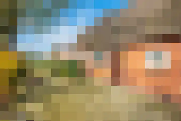 Bakovensweg 26 Bourtange thumbnail 28