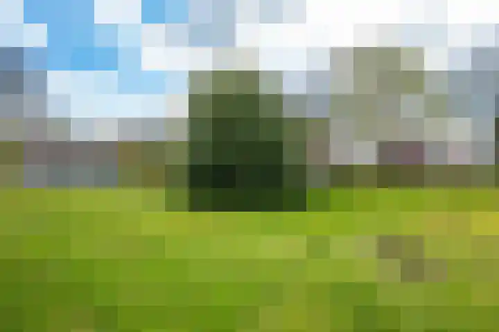 Bakovensweg 26 Bourtange thumbnail 30