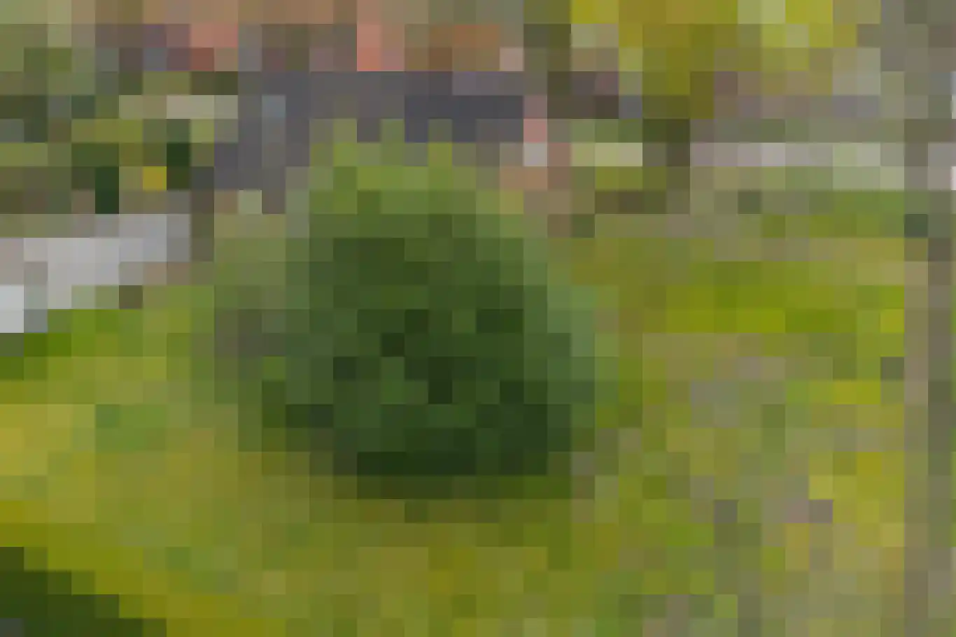 Bakovensweg 26 Bourtange thumbnail 31