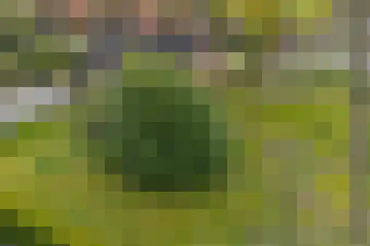 Bakovensweg 26 Bourtange thumbnail 31
