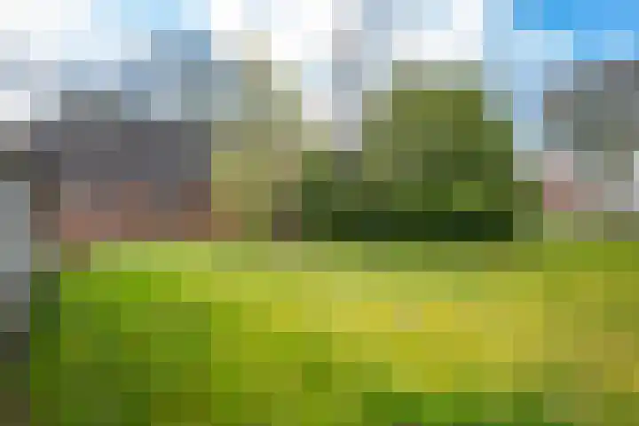 Bakovensweg 26 Bourtange thumbnail 34