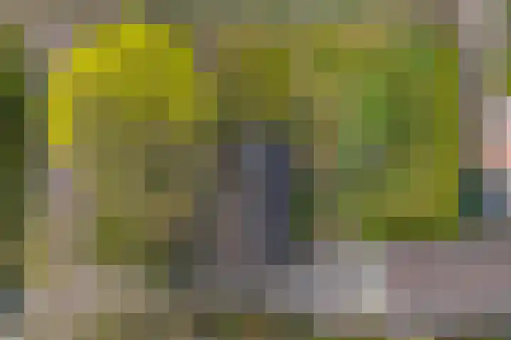 Bakovensweg 26 Bourtange thumbnail 35