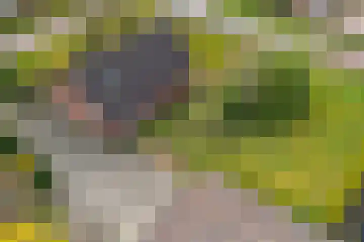 Bakovensweg 26 Bourtange thumbnail 36