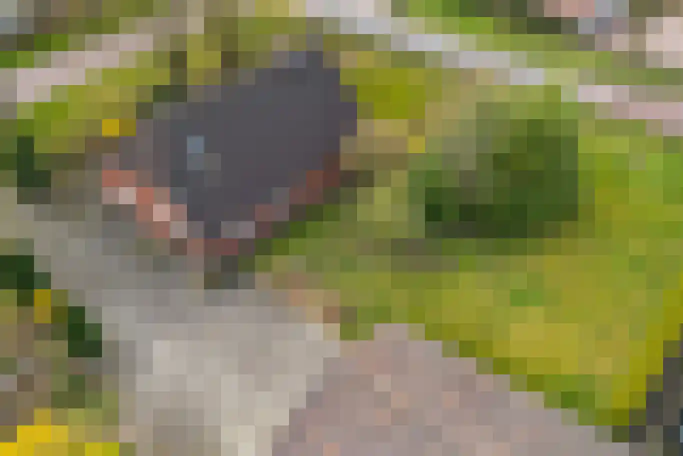 Bakovensweg 26 Bourtange thumbnail 36