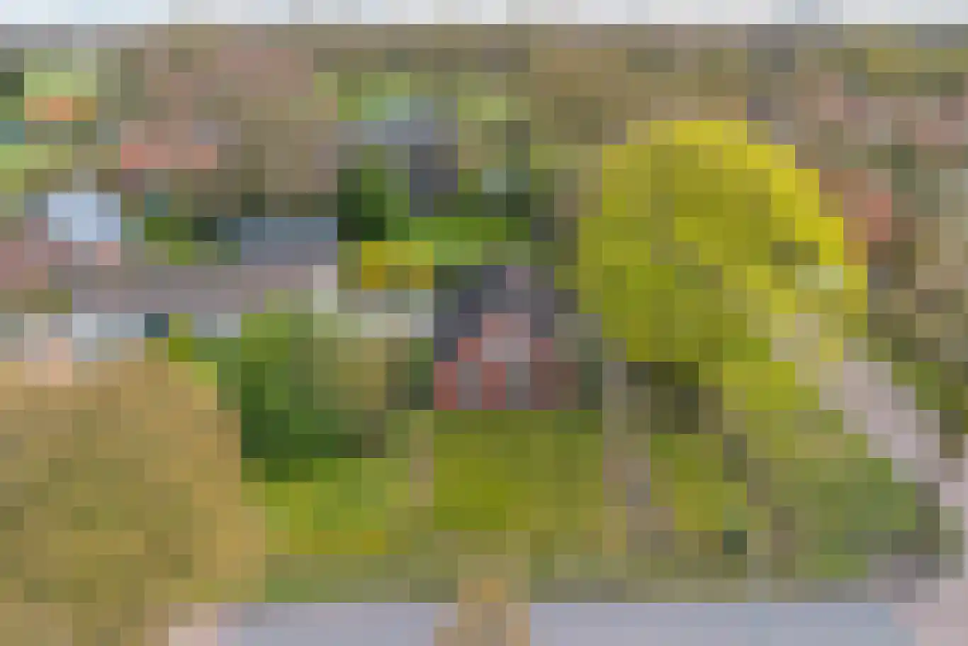 Bakovensweg 26 Bourtange thumbnail 37