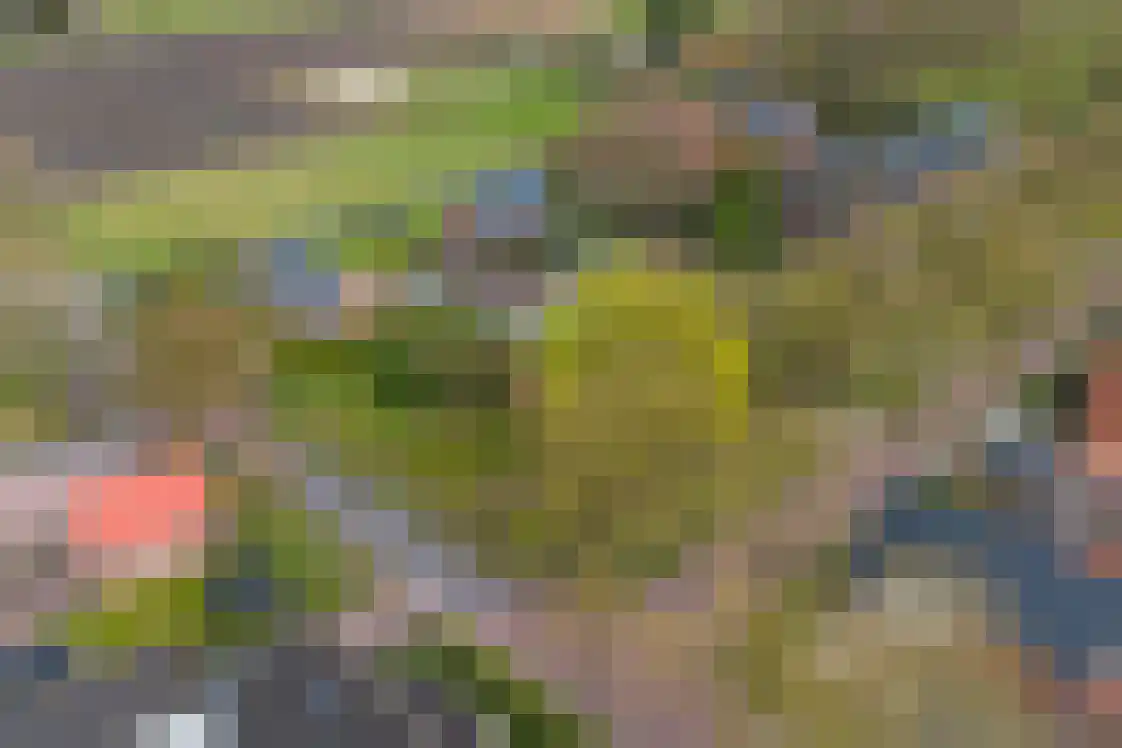 Bakovensweg 26 Bourtange thumbnail 38