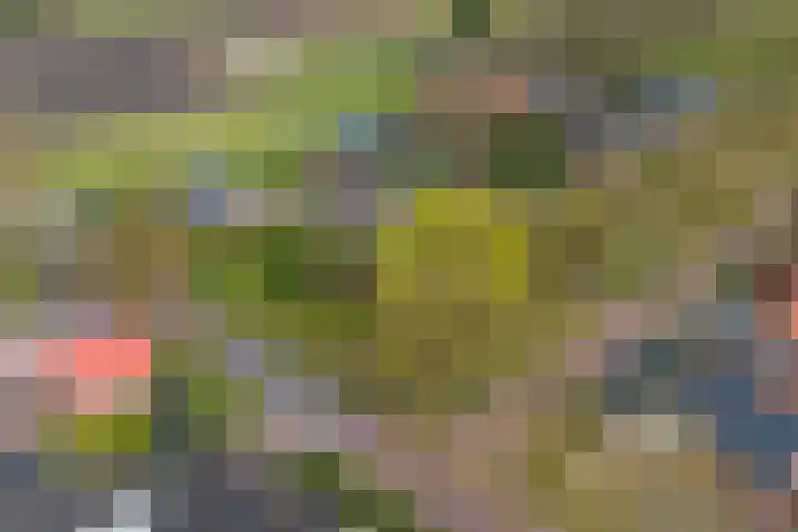 Bakovensweg 26 Bourtange thumbnail 38