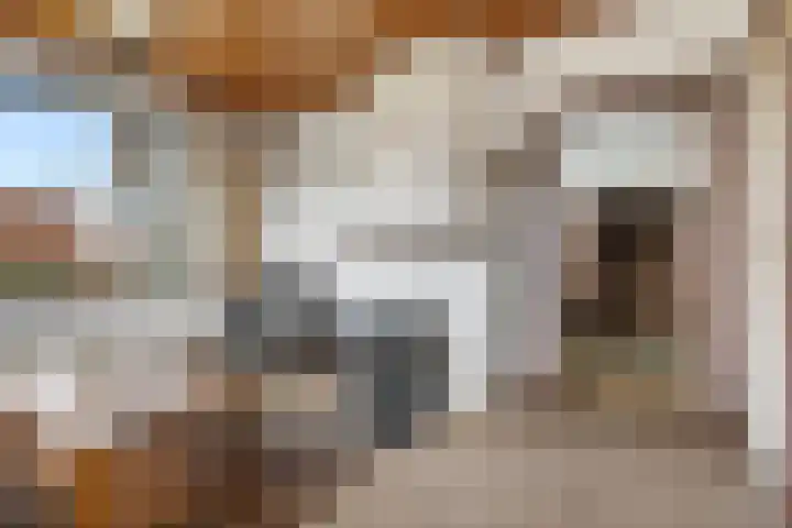Bakovensweg 26 Bourtange thumbnail 9