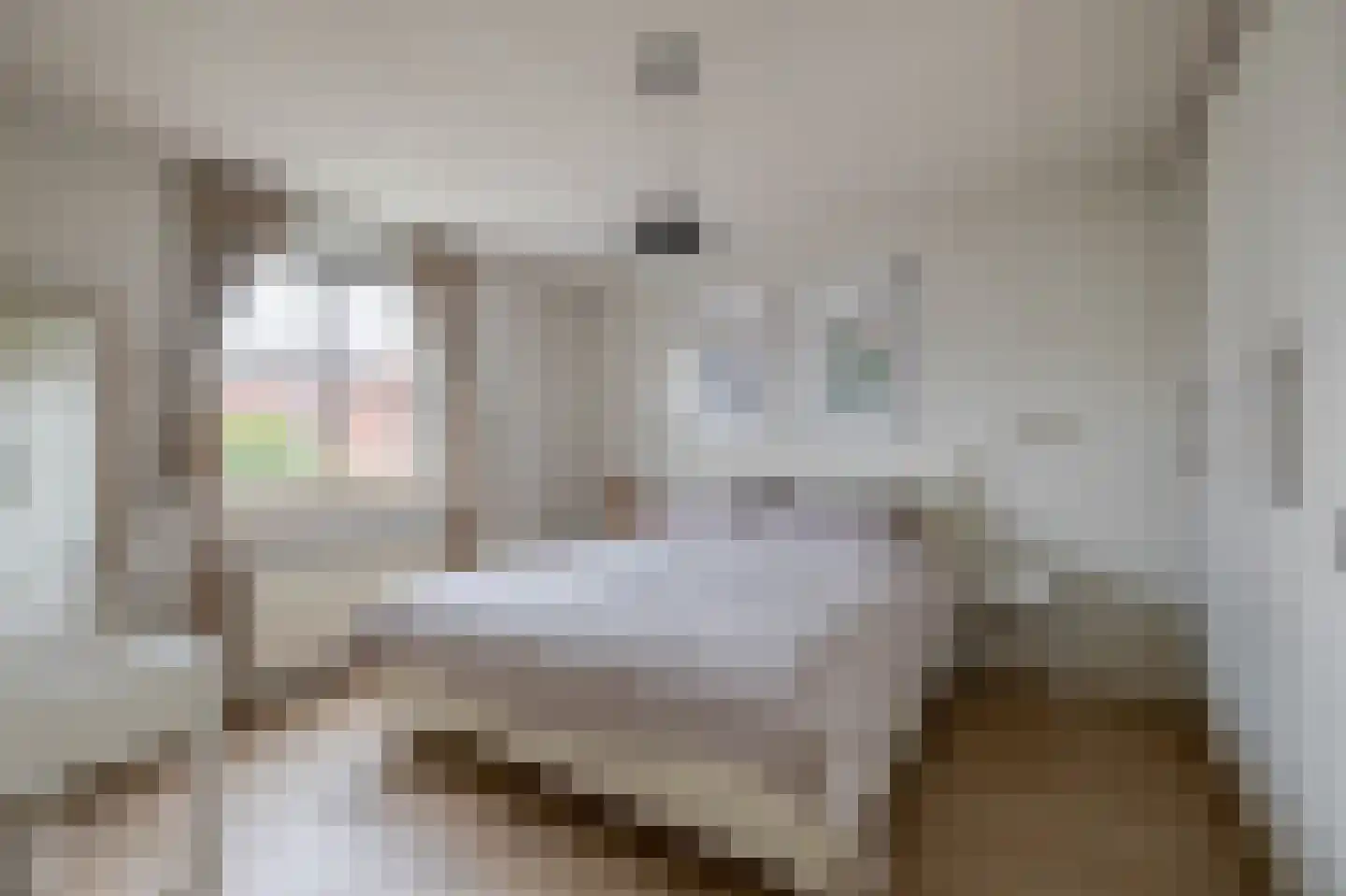 Bakshoeve 11 Helmond thumbnail 19