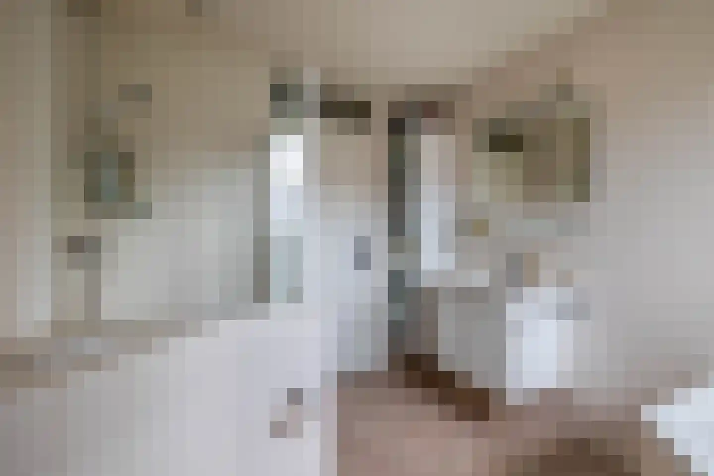 Bakshoeve 11 Helmond thumbnail 26