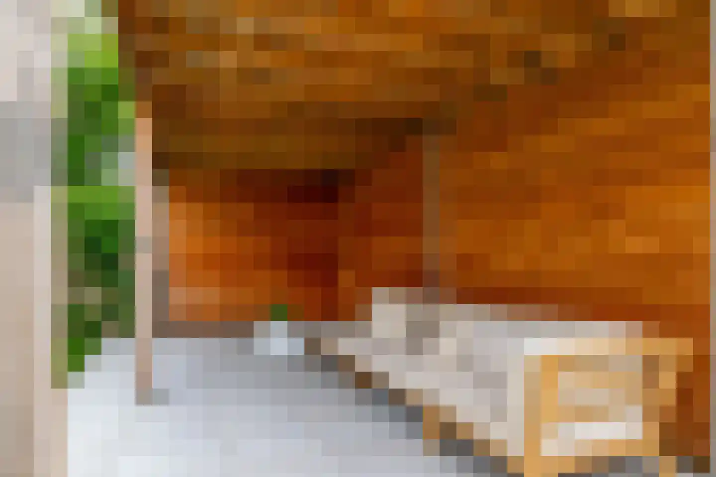 Bakshoeve 11 Helmond thumbnail 38