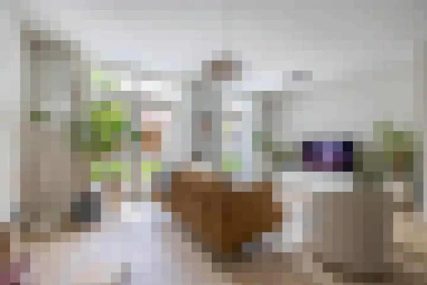 Bakshoeve 11 Helmond thumbnail 9