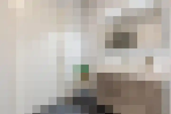 Bakshoeve 8 Helmond thumbnail 35