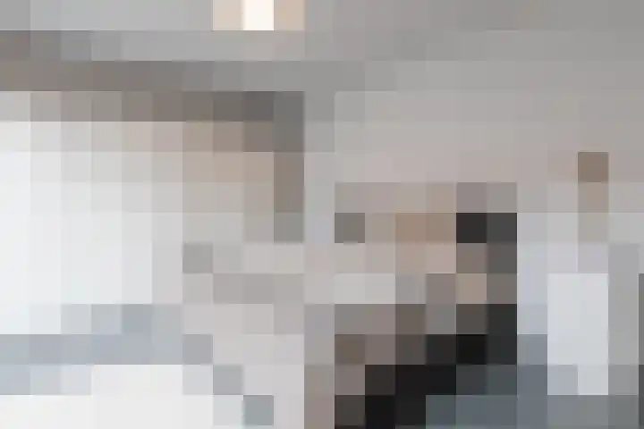 Bakshoeve 8 Helmond thumbnail 5