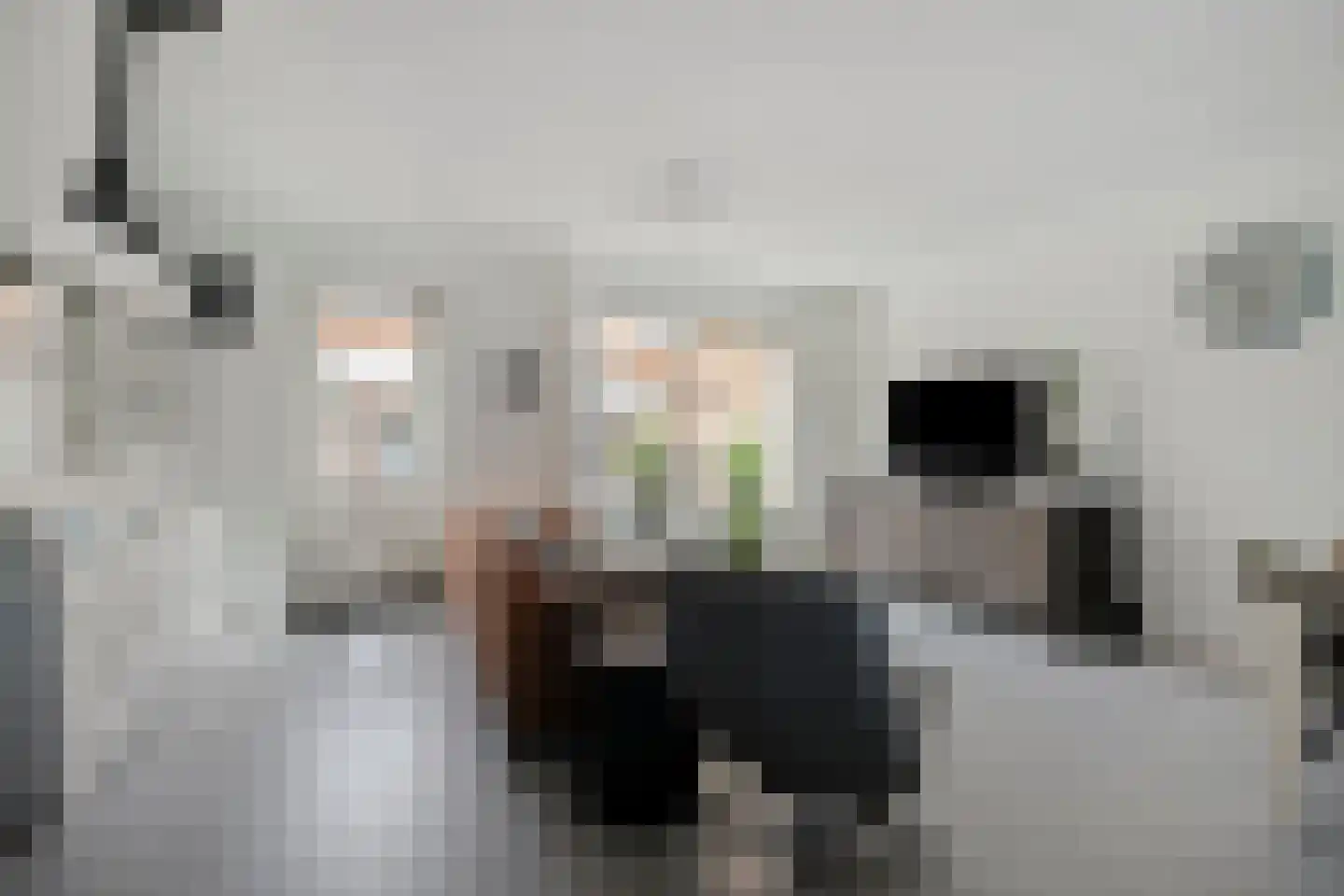 Baksteen 13 Dronten thumbnail 10