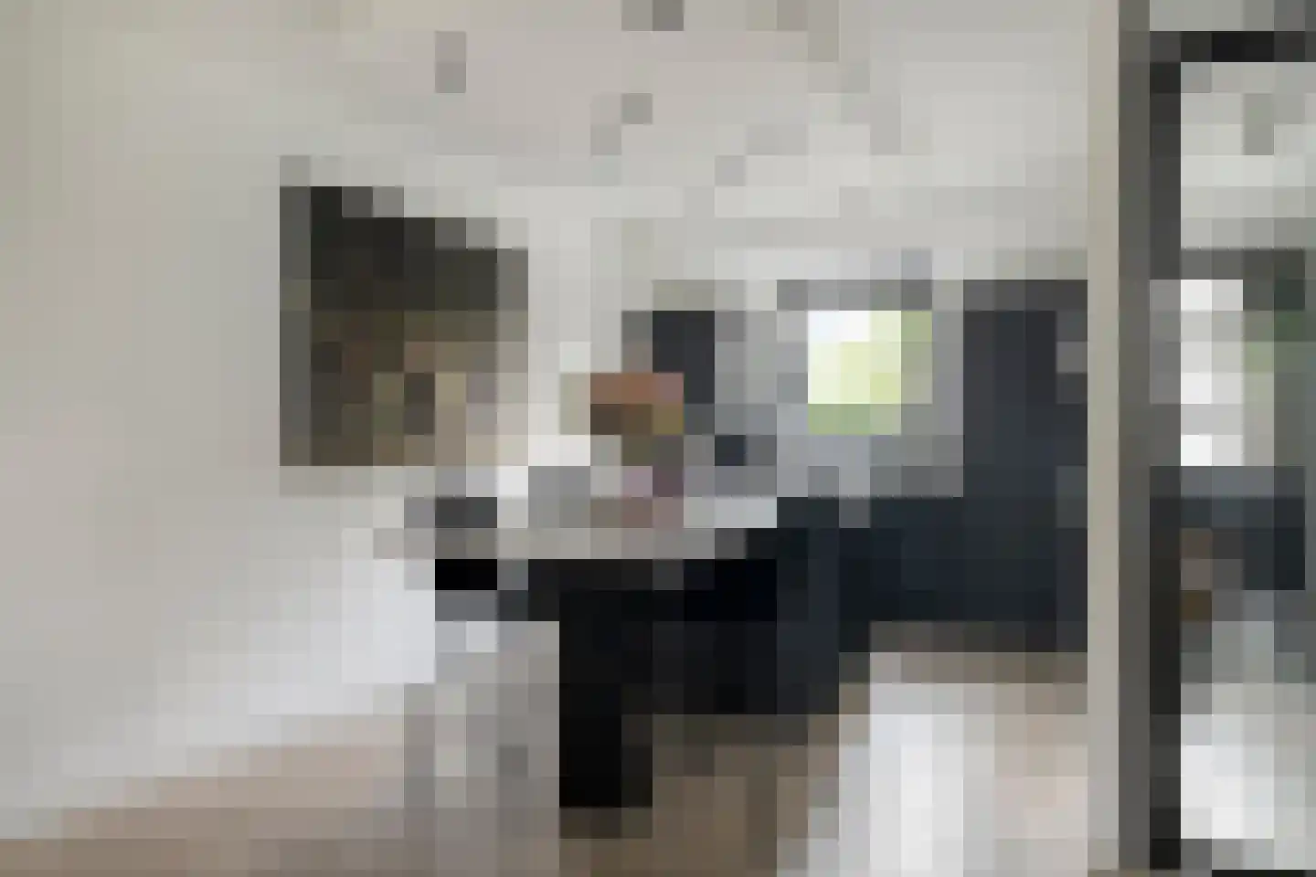 Baksteen 14 Dronten thumbnail 14