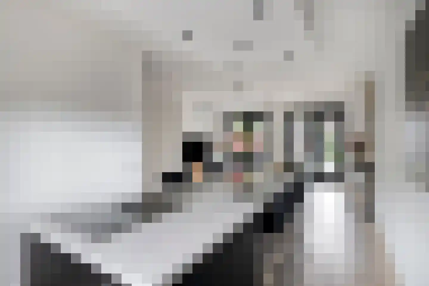 Baksteen 14 Dronten thumbnail 18