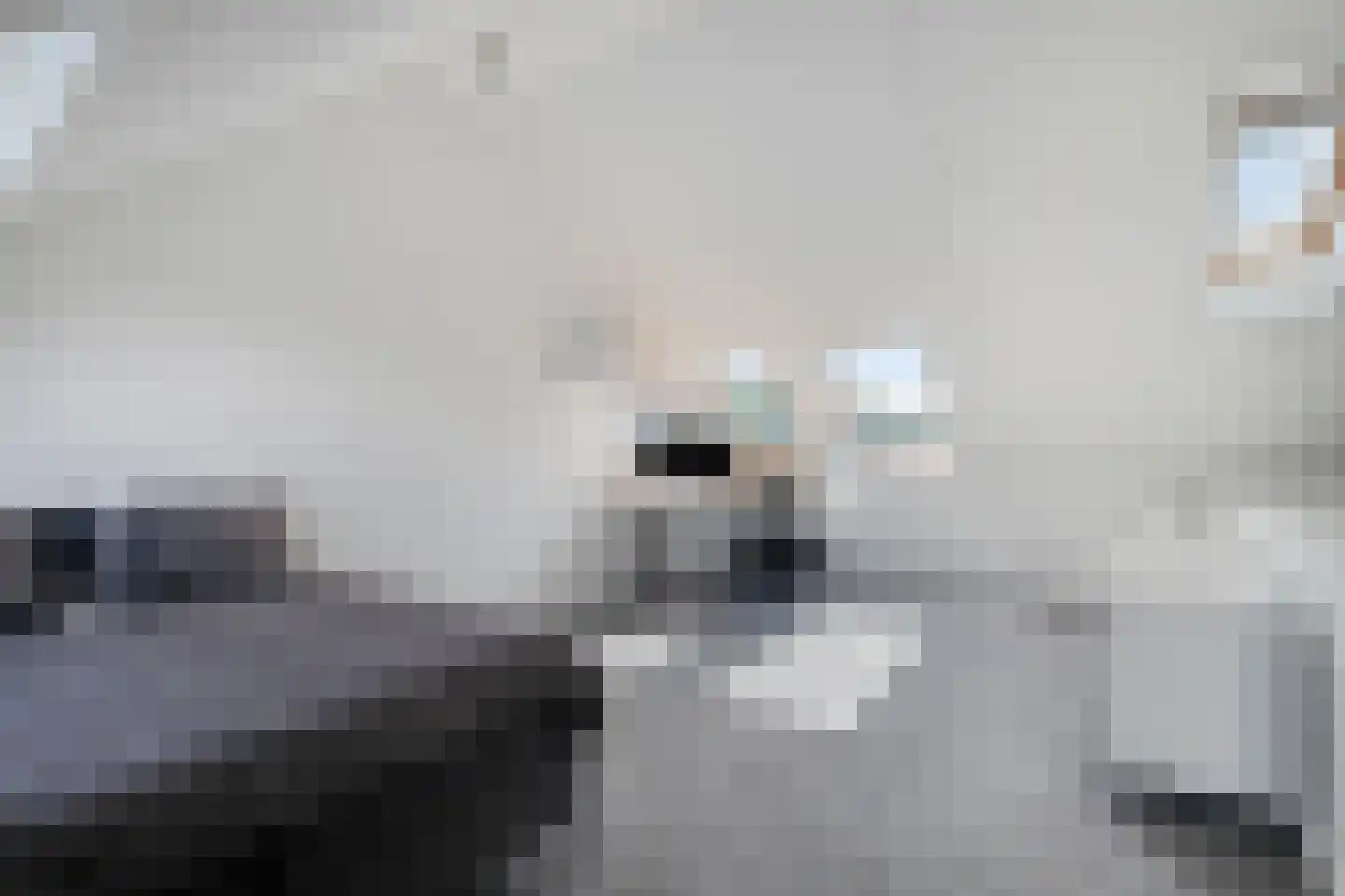 Baksteen 14 Dronten thumbnail 30