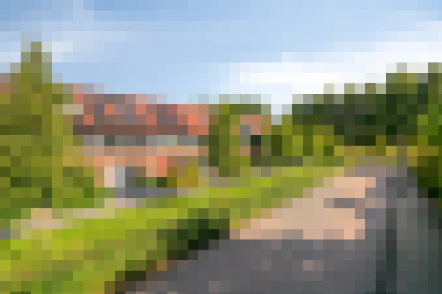 Baksteen 14 Dronten thumbnail 44